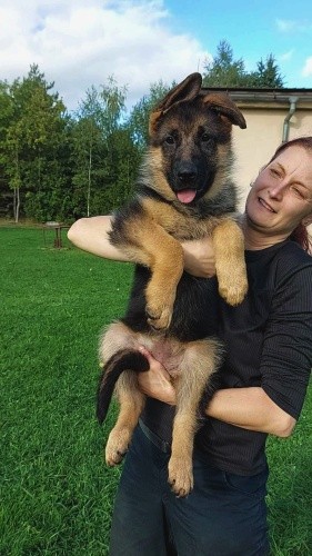 3--2-.jpg