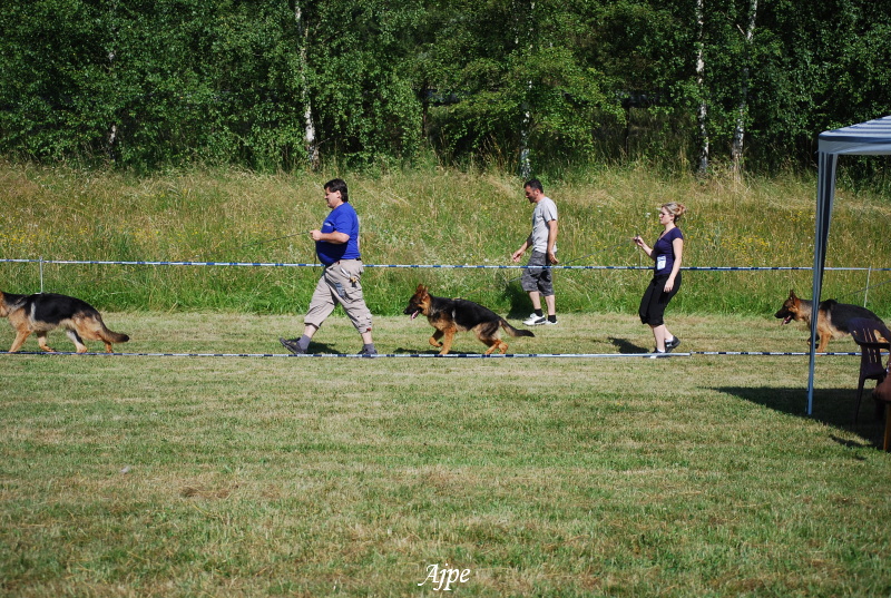 DSC_0030.JPG