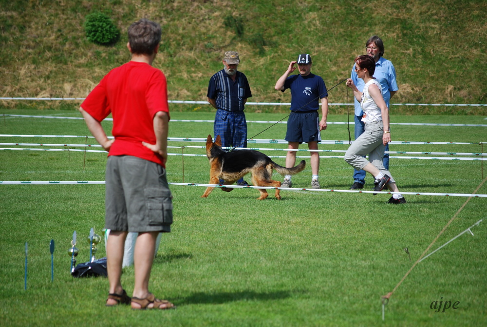 DSC_0203.JPG