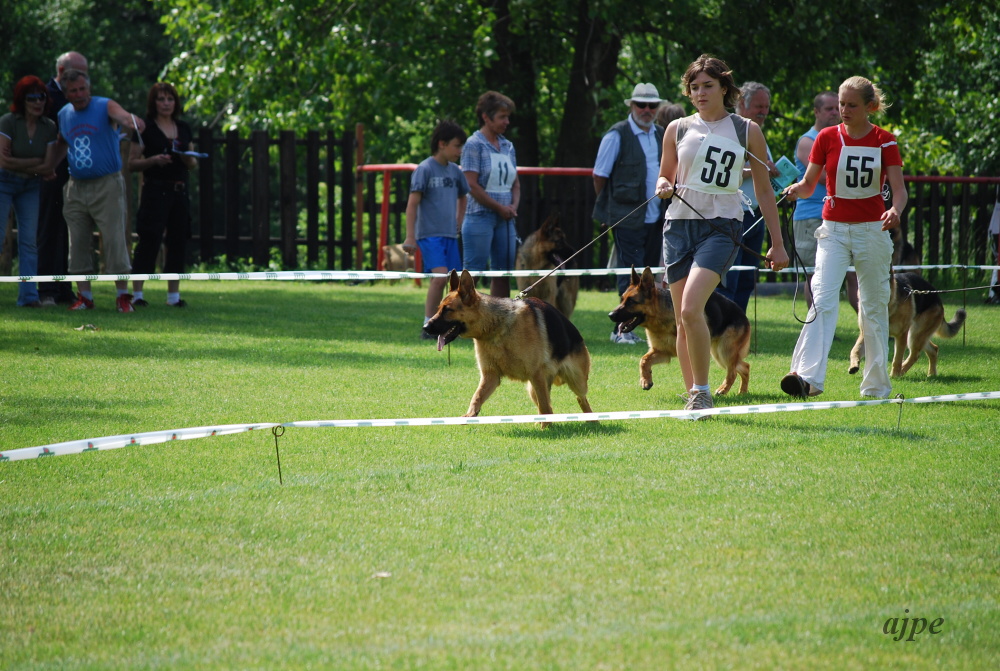 DSC_0216.JPG