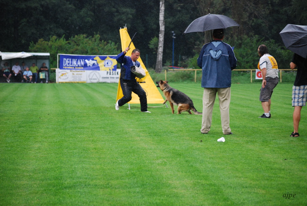 DSC_0653.JPG