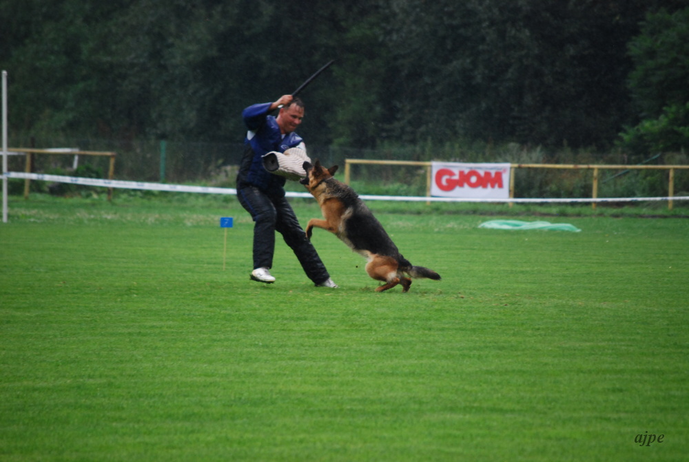 DSC_0662.JPG