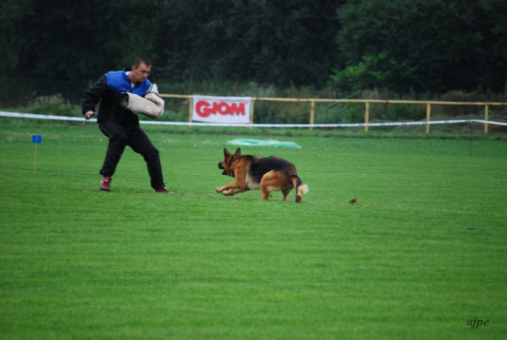 DSC_0681.JPG