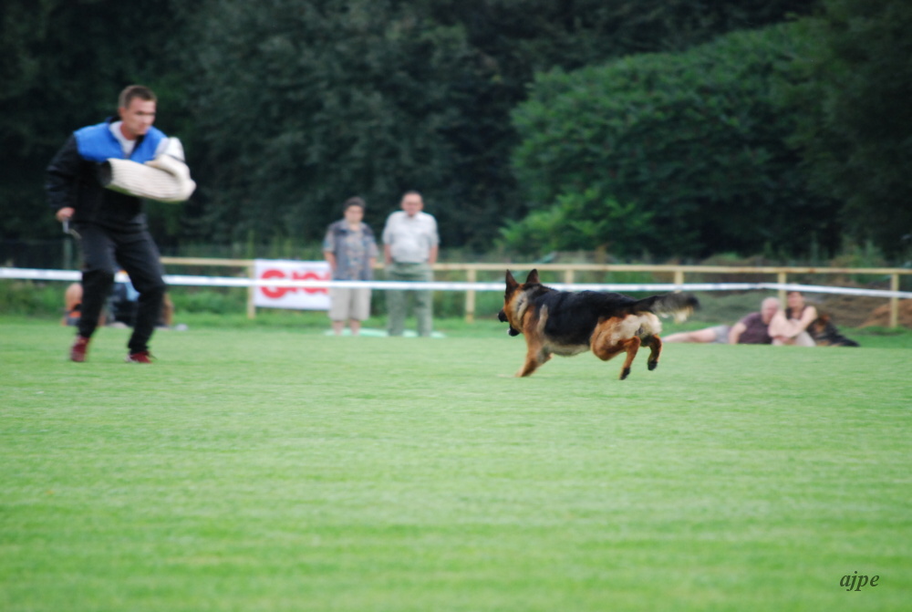 DSC_0073.JPG