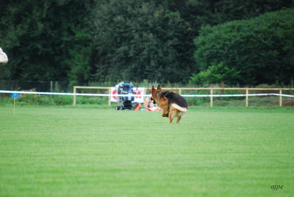 DSC_0172.JPG