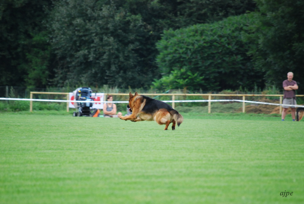 DSC_0204.JPG