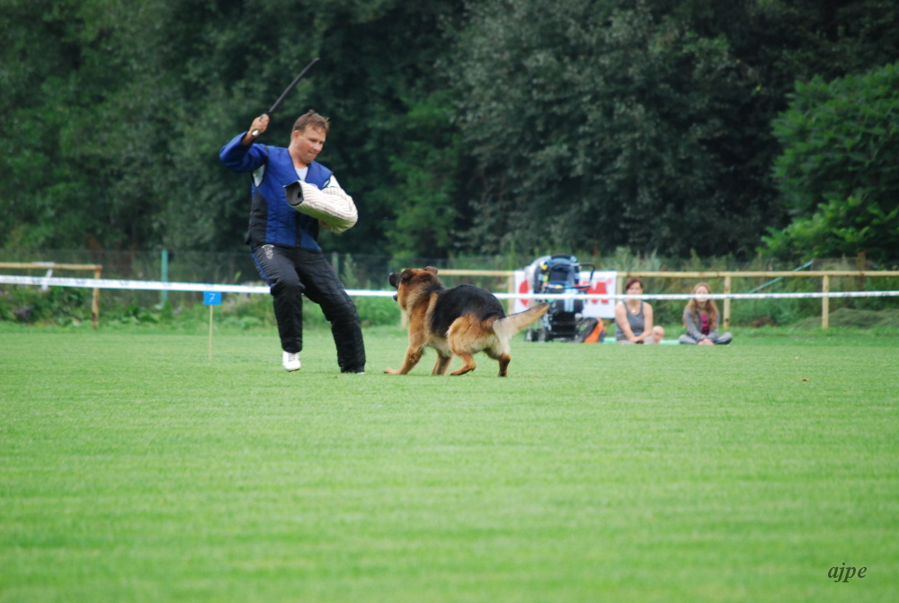 DSC_0222.JPG
