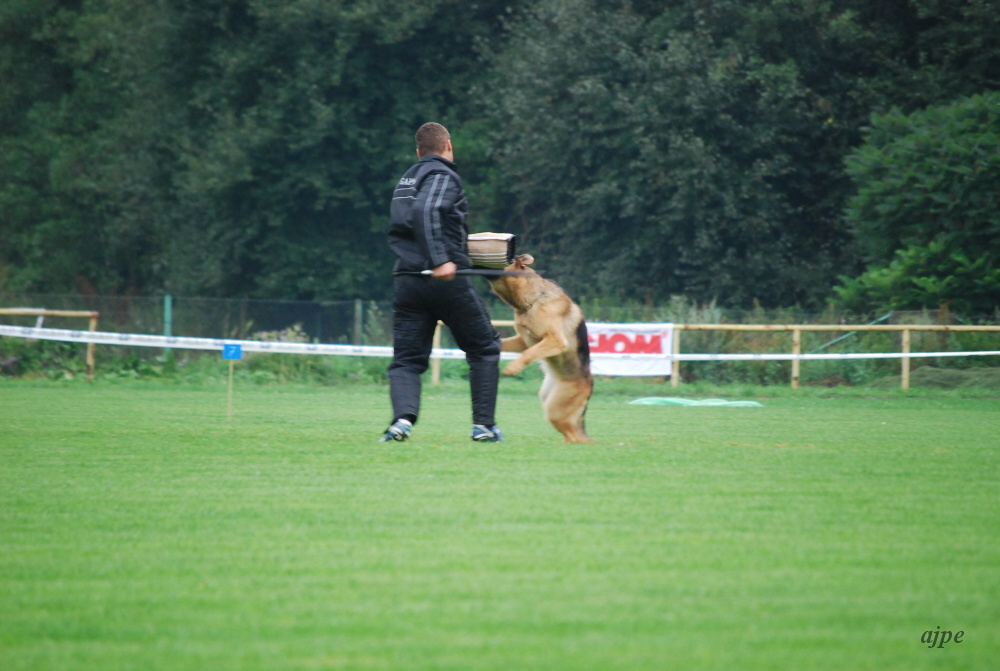 DSC_0559.JPG