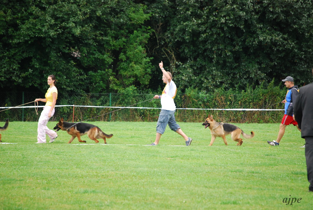 DSC_0002.JPG