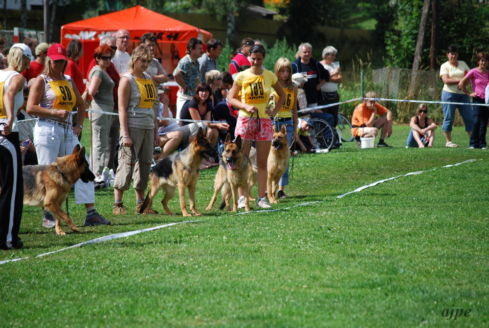 DSC_0073.JPG