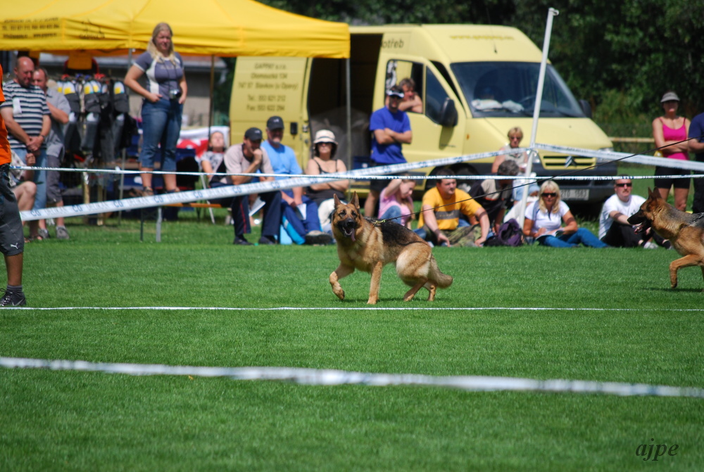 DSC_0115.JPG