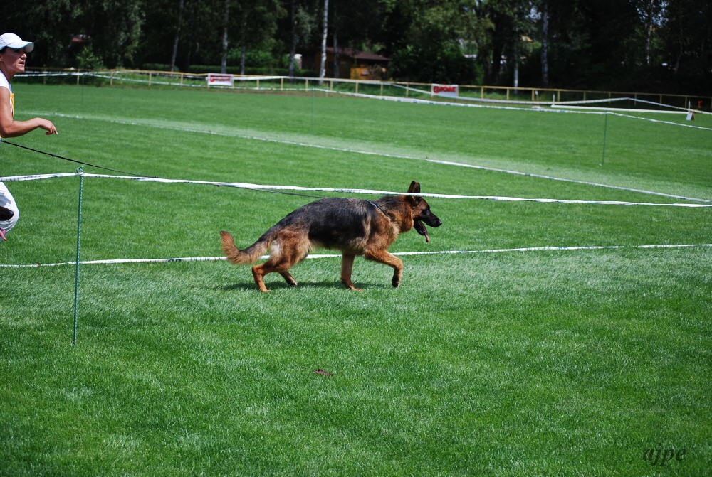 DSC_0197.JPG