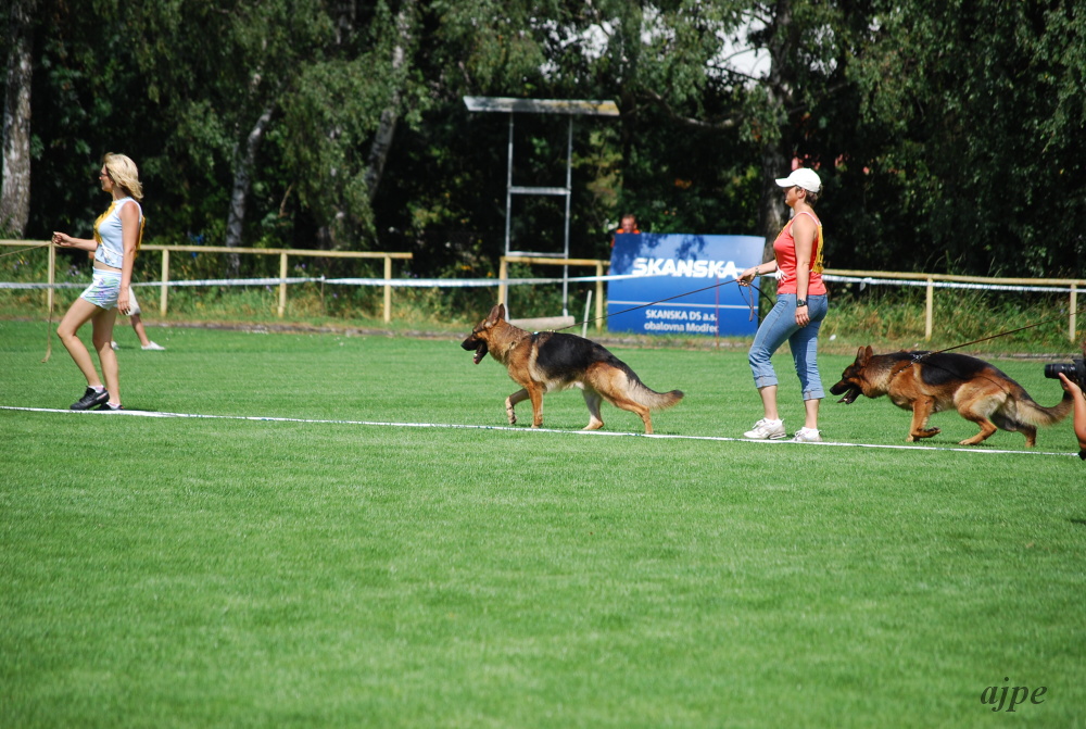 DSC_0328.JPG