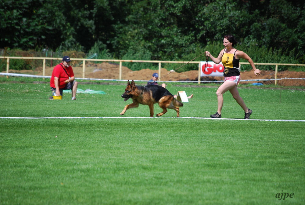 DSC_0463.JPG
