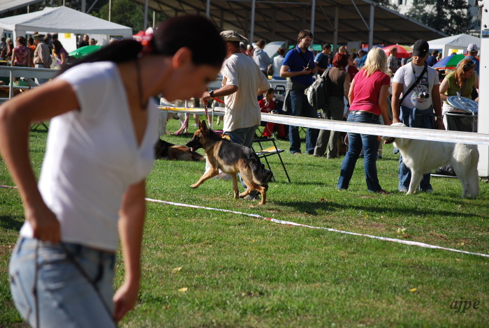 DSC_0045.JPG