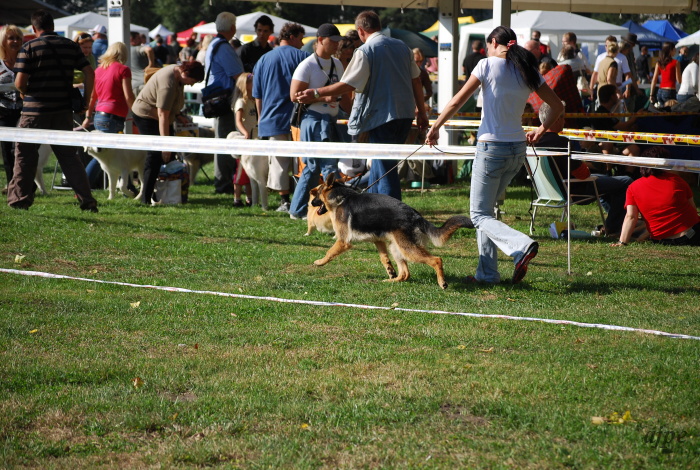 DSC_0046.JPG