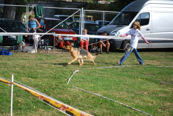 DSC_0079.JPG