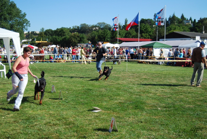 DSC_0175.JPG