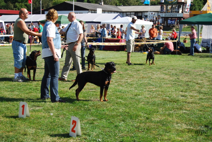 DSC_0224.JPG