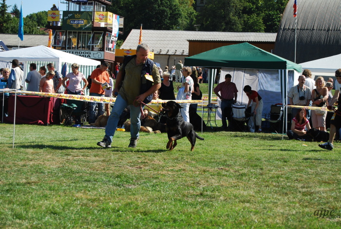 DSC_0256.JPG
