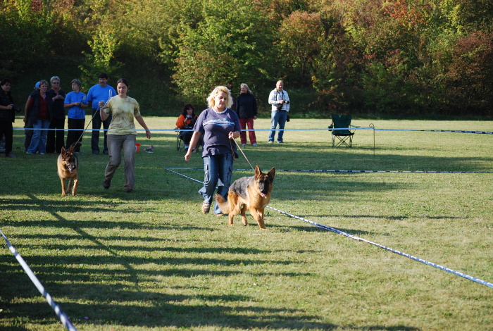 DSC_0005.JPG