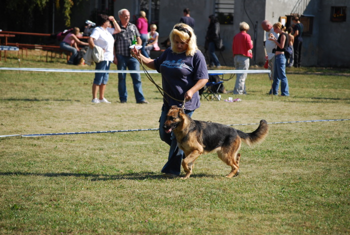 DSC_0380.JPG