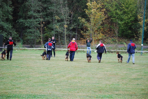 DSC_0056.JPG