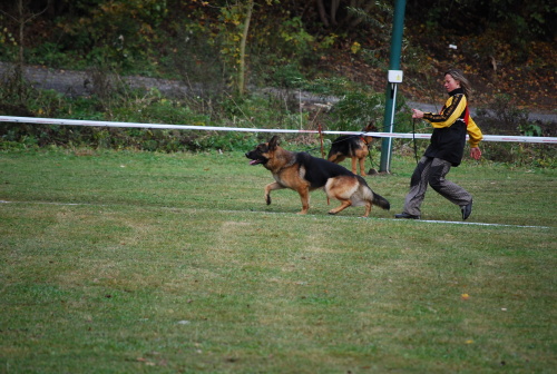 DSC_0099.JPG