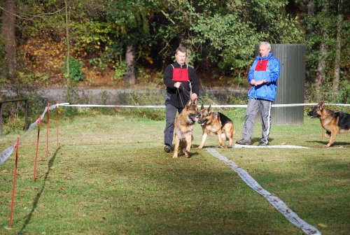 DSC_0133.JPG