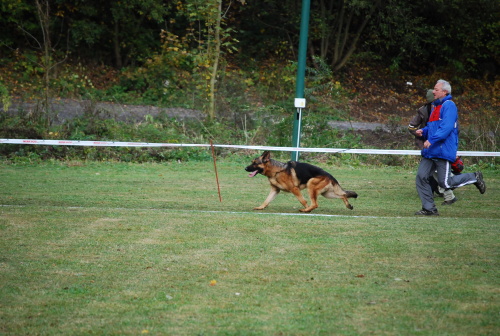 DSC_0161.JPG