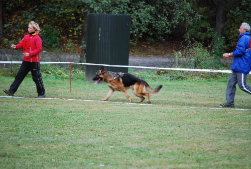 DSC_0182.JPG