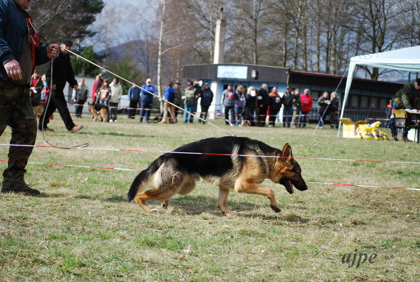 DSC_0088.JPG