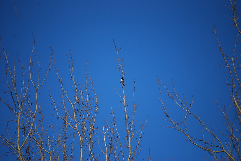 DSC_0573.JPG