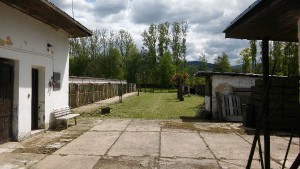 20190513_124432.jpg