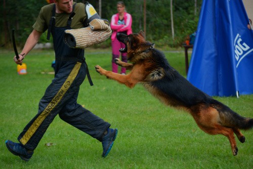 dsc_4006--2-.jpg