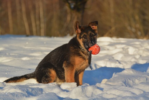 dsc_6244--2-.jpg