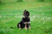 DSC_0575.JPG