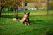 DSC_0669.JPG