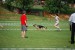 DSC_0113.JPG