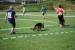 DSC_0130.JPG