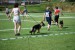 DSC_0131.JPG