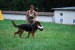 DSC_0296.JPG