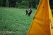 DSC_0374.JPG