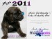 pf2011-moonbarks