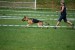 DSC_0192.JPG