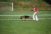 DSC_0194.JPG