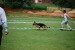 DSC_0201.JPG