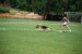 DSC_0207.JPG