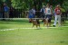DSC_0216.JPG