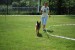 DSC_0219.JPG